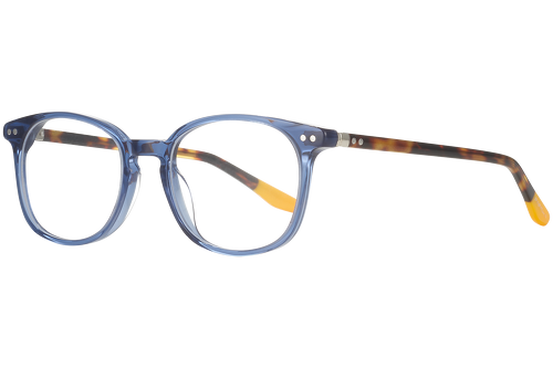 Blue & tortoise