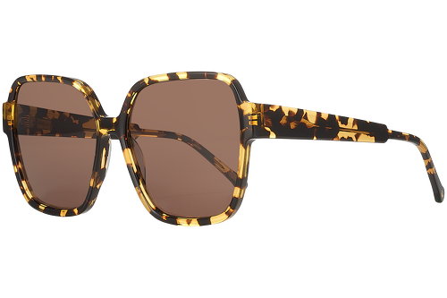 Blond tortoise