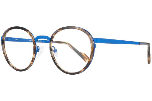Blue & tortoise