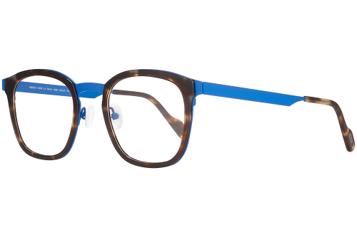 Blue & tortoise