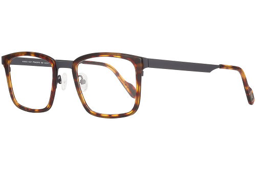 Grey & Tortoiseshell