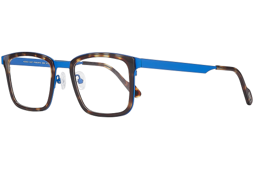 Blue & tortoise