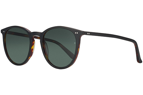 Black & Tortoise