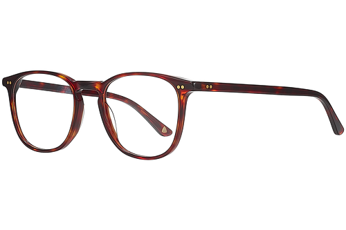 Dark tortoise