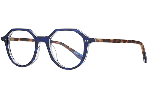 Blue & tortoise