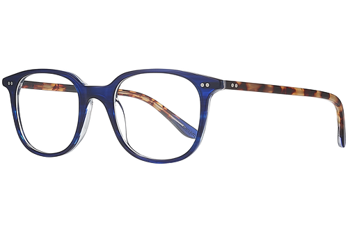 Tortoiseshell & Marbled Blue