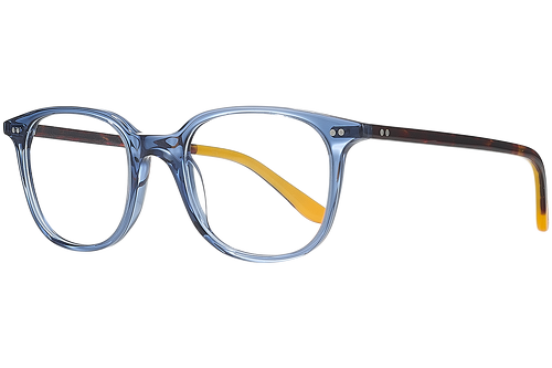 Blue & tortoise