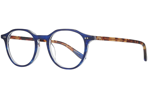 Blue & tortoise