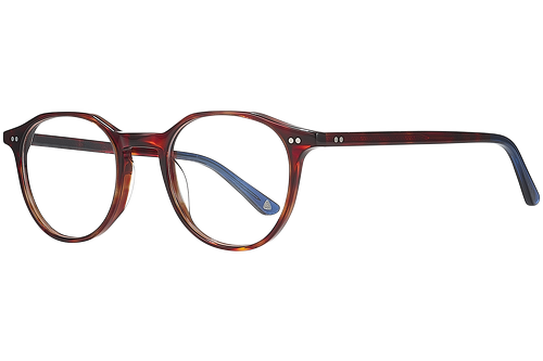 Red tortoise