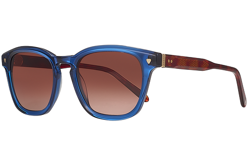 Blue & tortoise