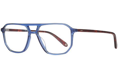 Blue & tortoise