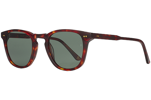 Tortoise