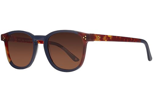 Blue & tortoise