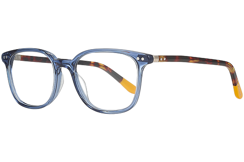 Blue & tortoise