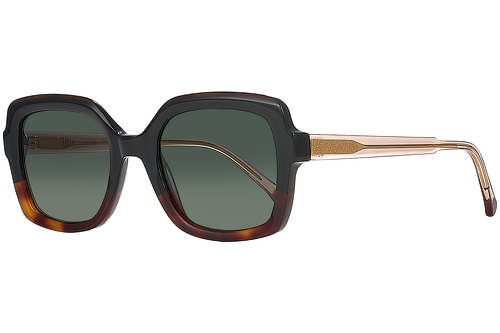 Black & Tortoise