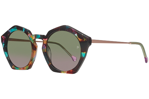 Colorful tortoise