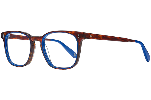 Blue & tortoise