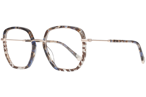 Tortoiseshell & Zebra