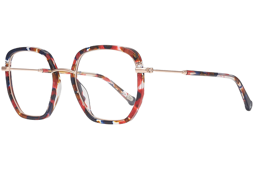 Colorful tortoise