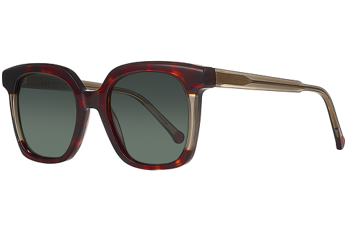 Red tortoise