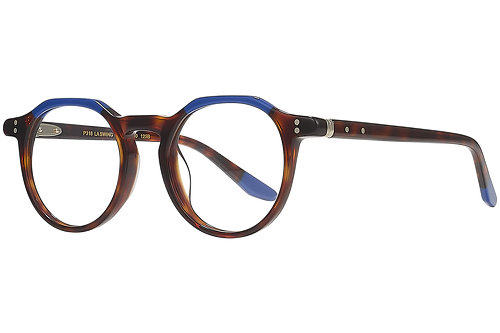 Blue & tortoise