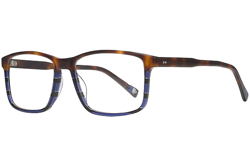 Tortoiseshell & Blue