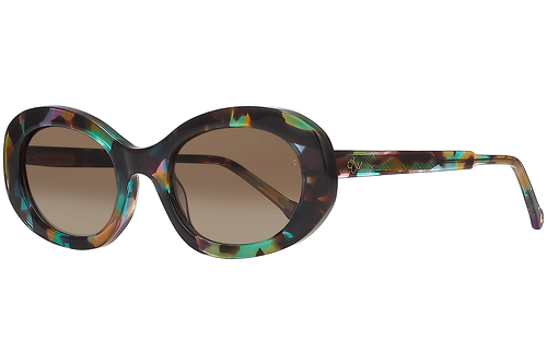Colorful tortoise