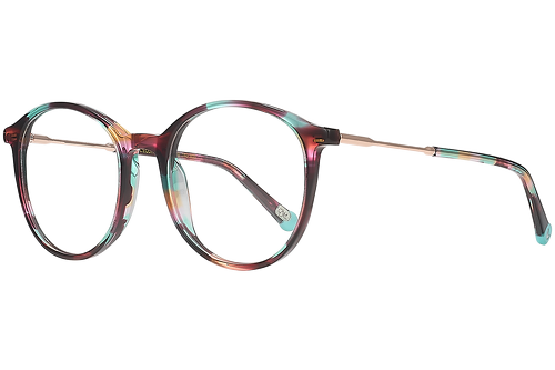 Colorful tortoise
