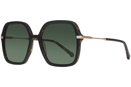 Black & Tortoise