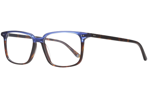 Blue & tortoise