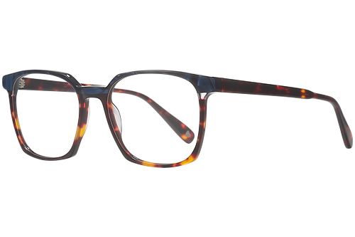 Tortoiseshell & Marbled Blue