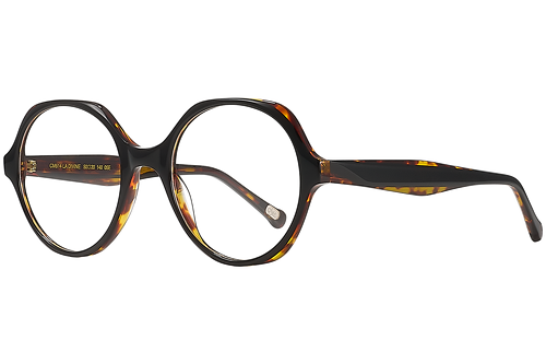 Black & Tortoise