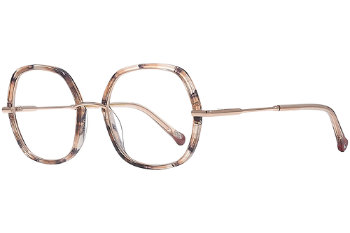 Marbled tortoise