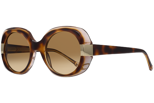 Tortoise & nude