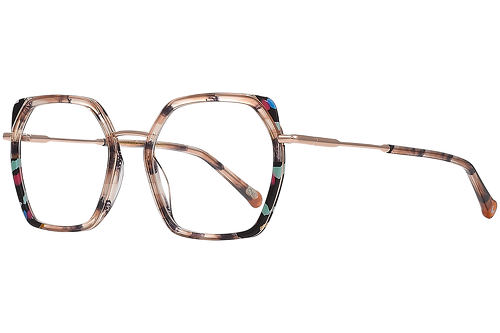 Marbled tortoise