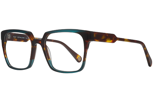 Tortoiseshell & Blue