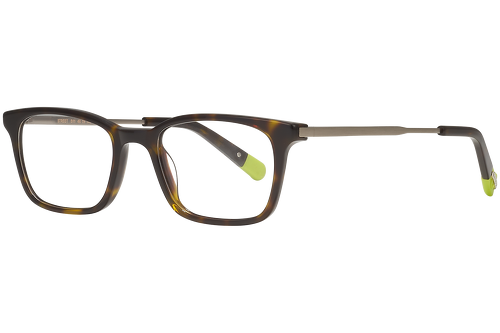 Dark tortoise