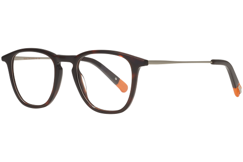 Dark tortoise