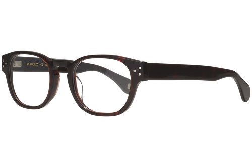 Dark tortoise