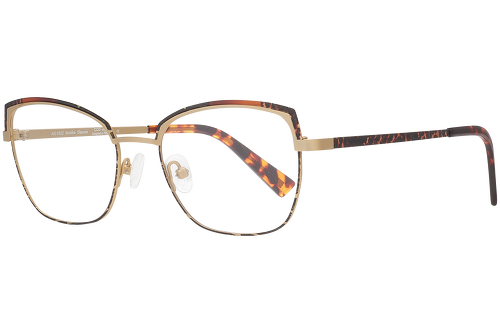 Orange splinter & tortoise