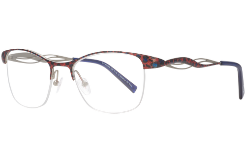 Red & blue tortoise