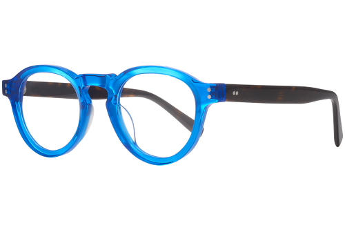 Blue & tortoise
