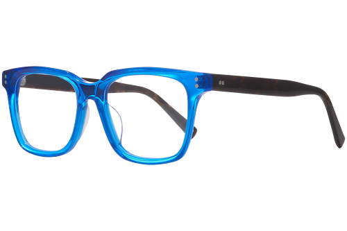 Blue & tortoise