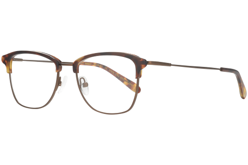 Tortoiseshell & Copper