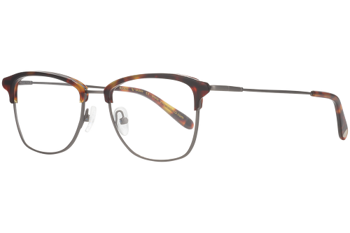 Dark tortoise